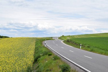 Sarı tarlalı bir yol manzarası