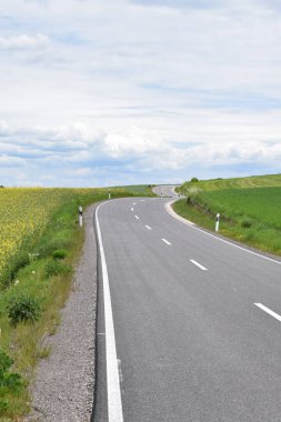 Yazın sarı çiçekli yol