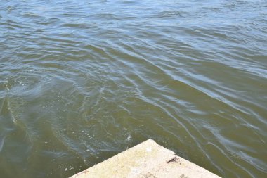 Denizde su ve dalgalar