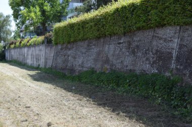 Parkta çit ve çimen