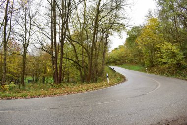 Sonbahar ormanında yol