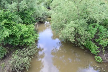 Ormandaki nehrin güzel manzarası