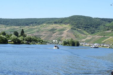 Mosel nehri ve üzüm bağı tepeleri.
