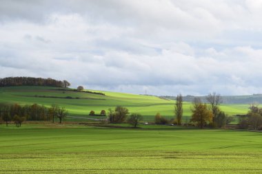 yeşil tarla ve mavi gökyüzü