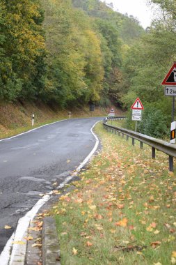 Ormanda yol