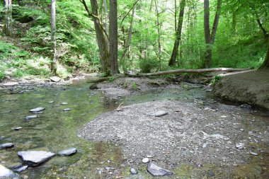 Doğanın güzel manzarası