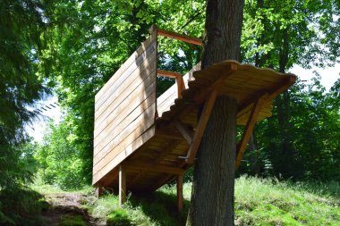 Ormanda ahşap merdivenler