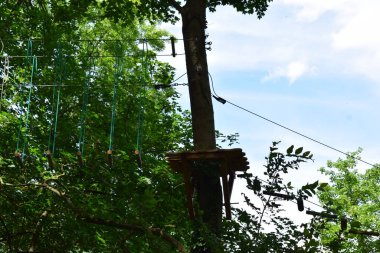 Ormanın içinde tırmanma park