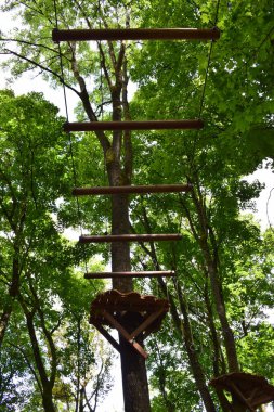 Ormanda tırmanmak için merdivenlere tırmanmak