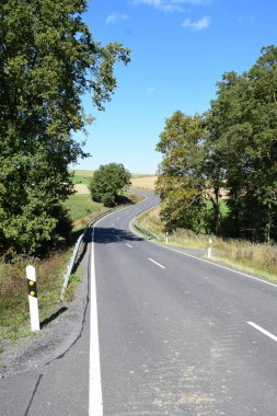 Sonbahar ormanında yol