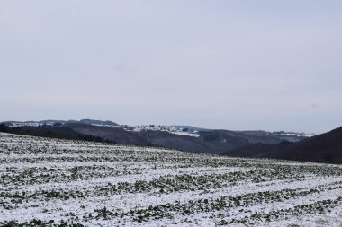 Karla kaplı ağaçlarla kaplı kış manzarası