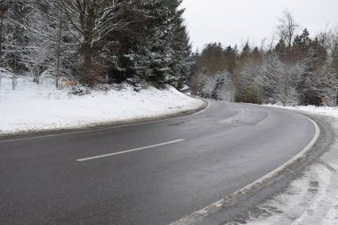 Ormanda kış yolu