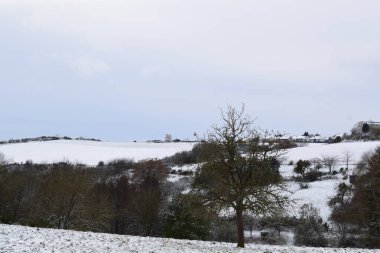 Karla kaplı ağaçlarla kaplı kış manzarası