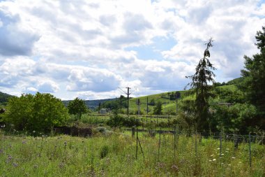 Sınır karakolunda yeşil çimenler ve üzüm bağları