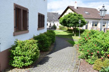 Yaz mevsiminde bitkiler ve ağaçlarla dolu bir sokak, Almanya