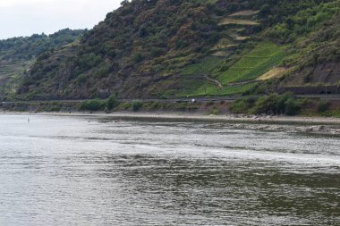 Loreley 'deki Ren Nehri Resifi, yaz mevsiminde ada olarak görülebilir.