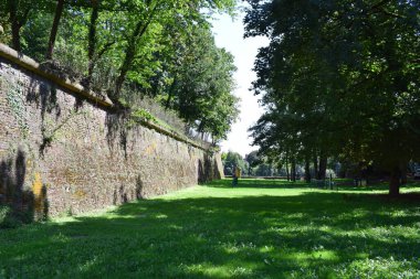 Parktaki şatonun eski kalesinin manzarası.