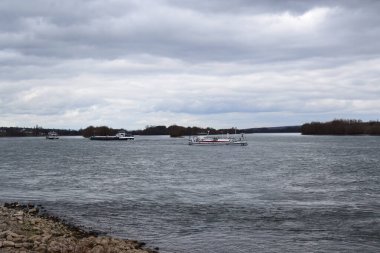 Eltville yakınlarındaki Ren Nehri 'nde gemi trafiği