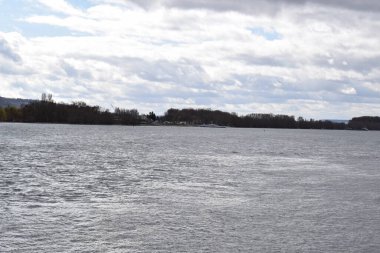 Kışın güzel Ren manzarası