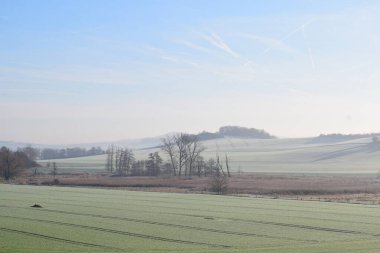 Buğday tarlası olan güzel bir manzara.
