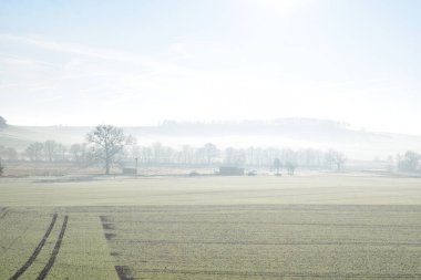 Dağlardaki bir tarlada sabah sisi