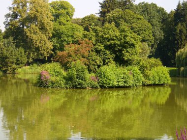 Güzel göl manzarası