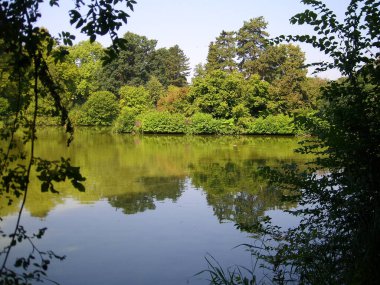 Ormandaki bir gölün manzarası