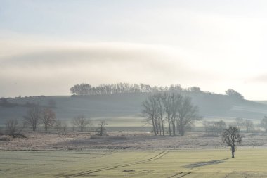 kırsal alan, Almanya 'da kış manzarası