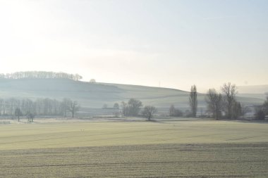 Ağaçlı ve karlı güzel bir manzara.