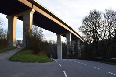 Ormanda yol, doğa ve seyahat