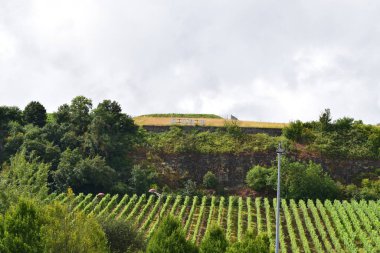 the vineyards of mosel, germany clipart