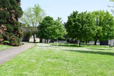 Yeşil çimenler ve çimenli ağaçlar..