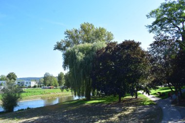 Parkın güzel manzarası