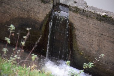 Ormanda küçük bir şelale.