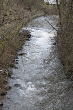 Ormanda akan güzel bir nehir görüntüsü.