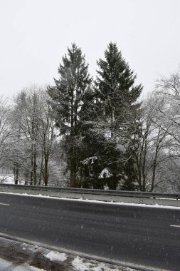 road in winter forest, snow on trees and branches clipart