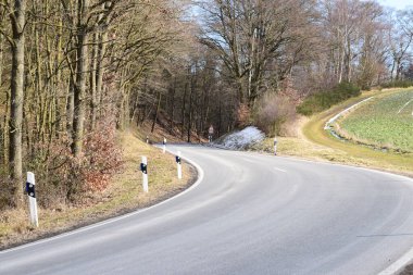 Ağaçlarla dolu ormanda yol