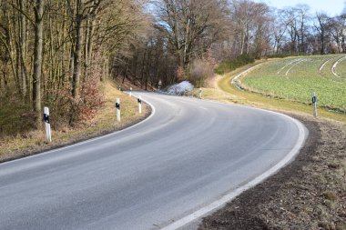 Sonbahar ormanında yol