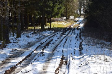 Karlı bir kış gününde orman yolu.