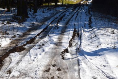 Ormanda karla kaplı yol