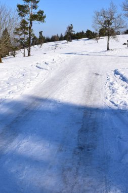 Kar- kışın ağaçlarla kaplı yol