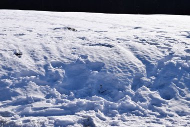 Gün ışığında bir tarlada karla kaplı çimlerin yakın çekimi.