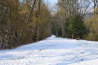 Kar - ormandaki yol, ağaçlar, kış manzarası