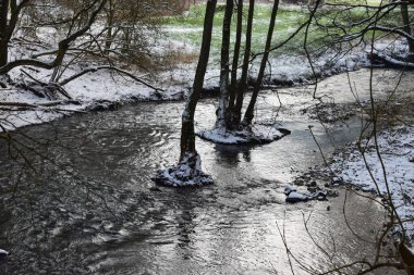 Ormandaki nehrin güzel manzarası