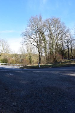 Kış ormanında yol