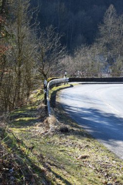 Sonbahar ormanında yol