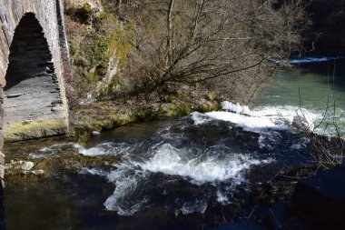 Ormandaki güzel nehir