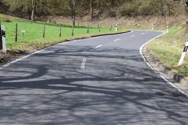 Ormanda bisikletli bir yol