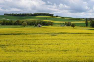 Kırsal alanda yeşil alan
