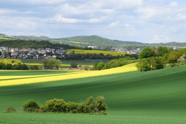 Alman kırsalında bahar geldi.
